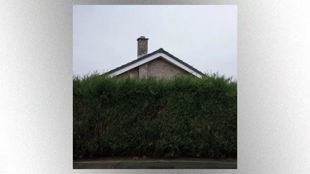 m_the1975_030725195798