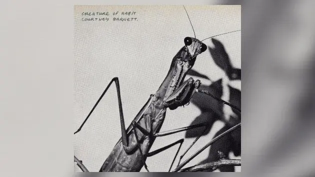 m_courtneybarnett_012026340232