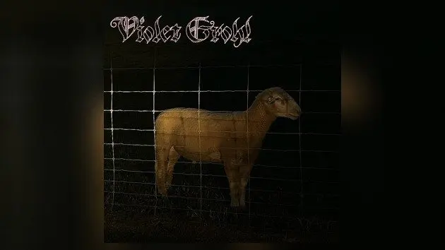 m_violet_021126689242