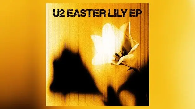 m_u2easterlily_040226428761