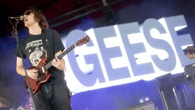 g_geese_042326915310