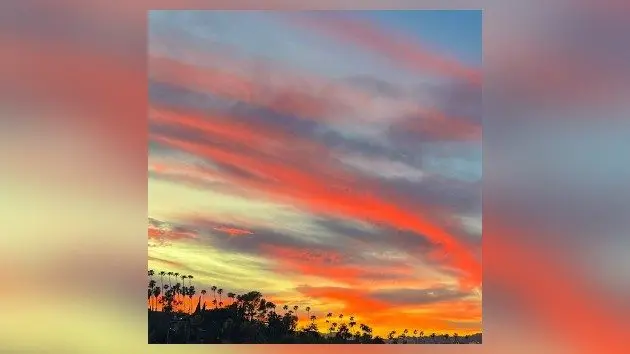 m_afghanwhigs_042326325102