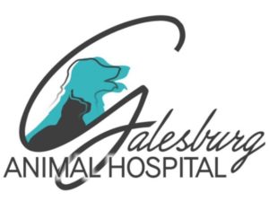 Galesburg Animal Hospital logo