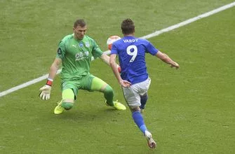 d45645f65915400f8bcdb43e6058d2d9-vresize-335-220-high_-0