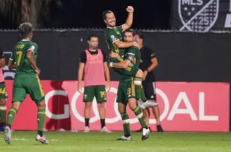 timbers-vresize-335-220-high_-0