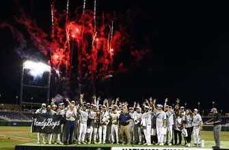 44f9c52f37af4fbfaec37a174fa1782e-vresize-335-220-high_-0