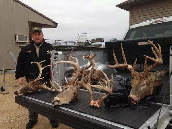 deer-3