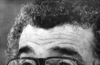 96415cb7f405499584ecf9d05db25d4b-vresize-335-220-high_-0