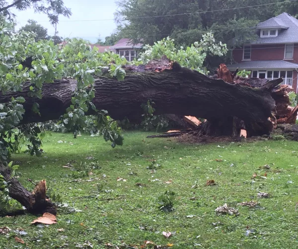 img_0536-e1468273302280