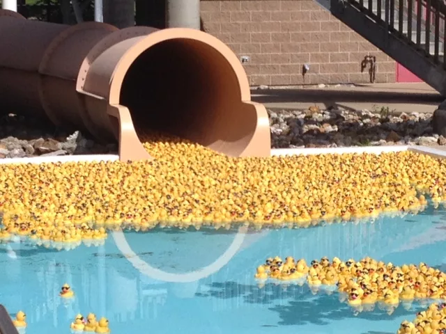 rubberducks-7
