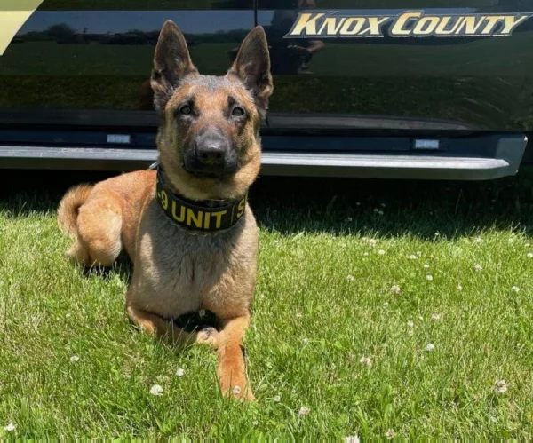 brenna-e1639502362365