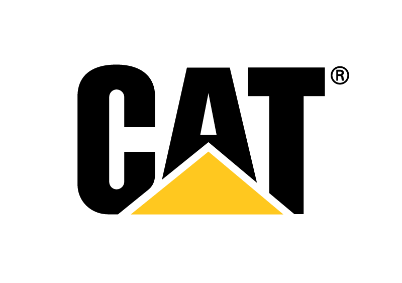 cat-3