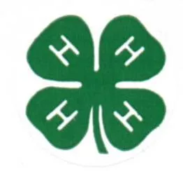 4h4-4