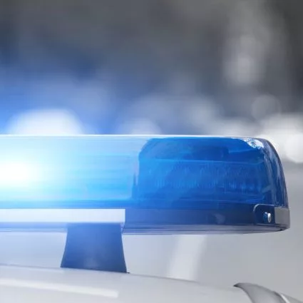 trooperrescuesdogfrombusyhighway-e1523275362720-29