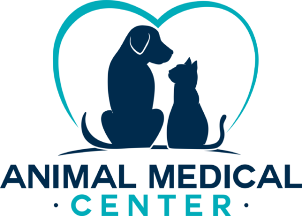 amc-galesburg-logo_full-color1-e1647324920216