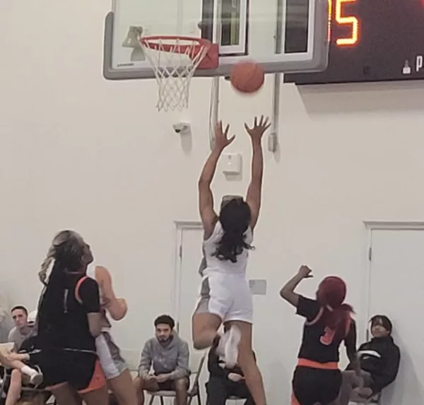 syriah-e1669498402867