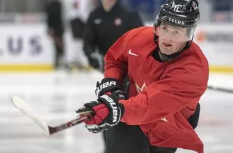 1136fa304ace4181b8580433c66c0cdf-1-vresize-335-220-high_-0-2