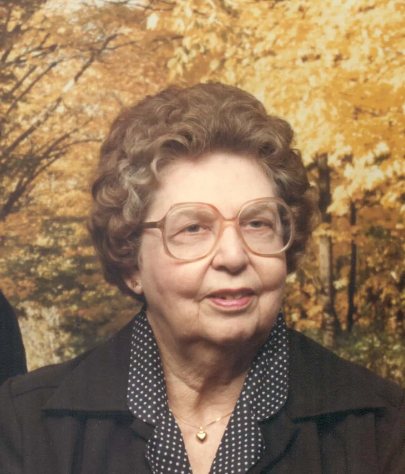 robbins-fern-4