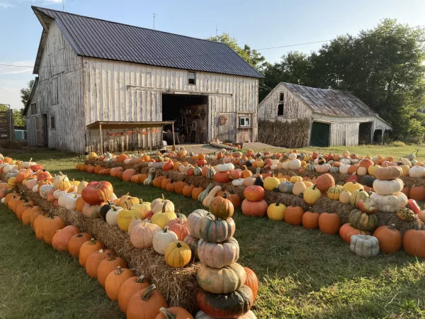 Prairie Moon Farm near Knoxville
