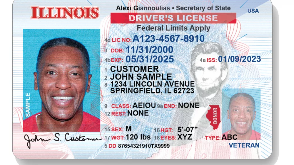 Illinois driver's license