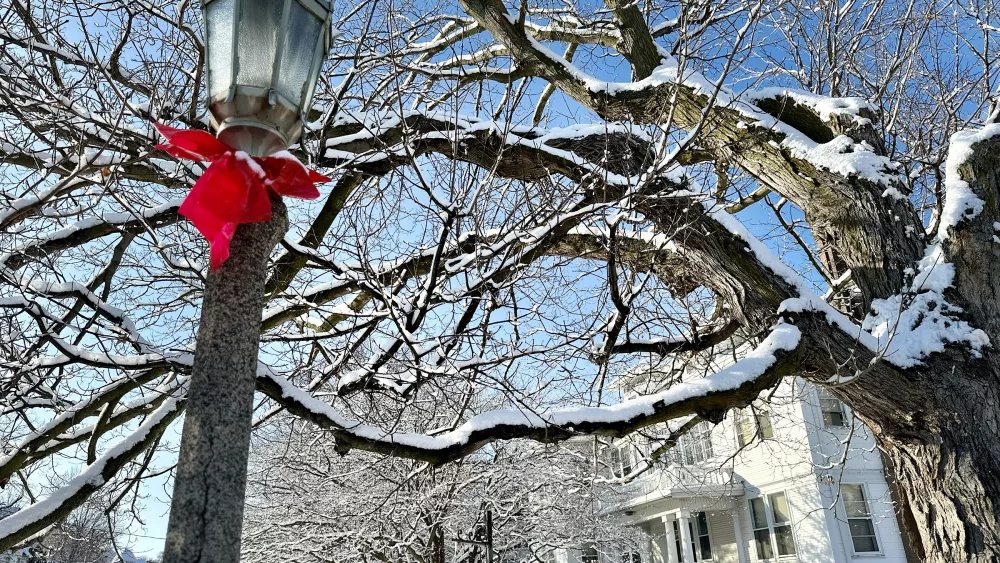 Red bows hang on ornamental street lights in Galesburg