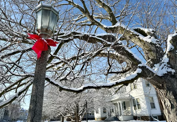 Red bows hang on ornamental street lights in Galesburg