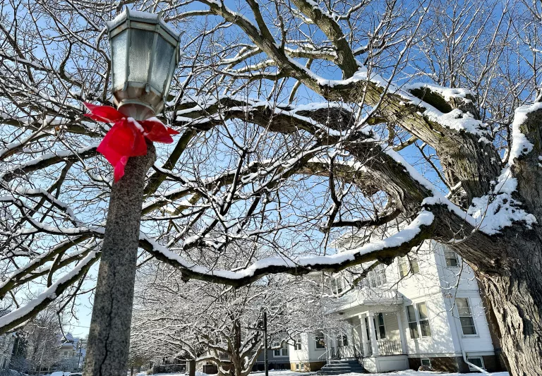 Red bows hang on ornamental street lights in Galesburg