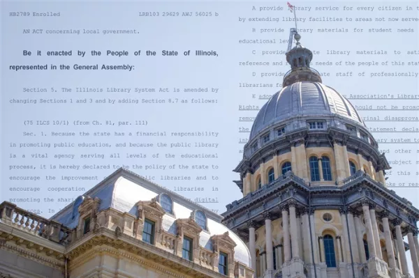 New Illinois laws