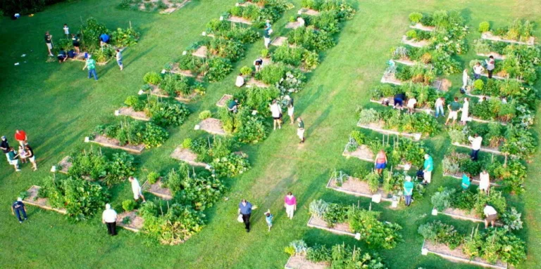 Community Garden Farm