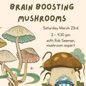 Mushrooms