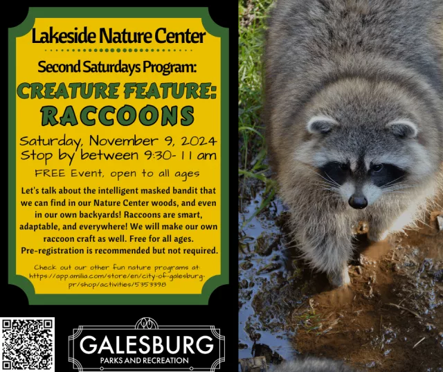 second-saturdays-creature-raccoons
