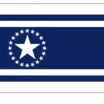 200: Relationship to Illinois: I am 18 years old and a lifelong resident, born in Moline and currently living in Rock Island. My parents were also born and raised in this state.

Explain the meaning behind your flag: The flag is divided into 7 stripes, in a pattern of white and blue alternating. The biggest blue stripe represents Lake Michigan while the smaller blue stripes represent the state’s various rivers such as the Mississippi and the Illinois. The center blue stripe contains 20 smaller stars surrounding a center star, which represent Illinois as the 21st state. The small white stripes represent the state’s industry and commerce while the bigger white stripes represent the state’s agriculture.