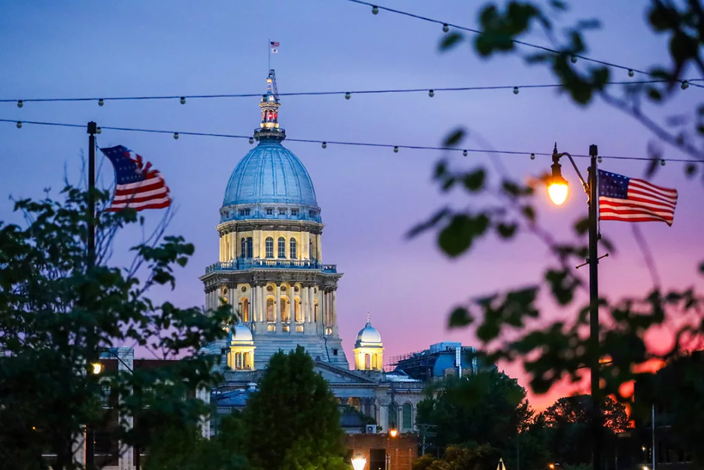 Nearly 300 new laws will take effect in Illinois in 2025.