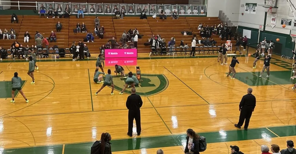 GHS girls basketball vs Geneseo 2025 Regional Semifinal