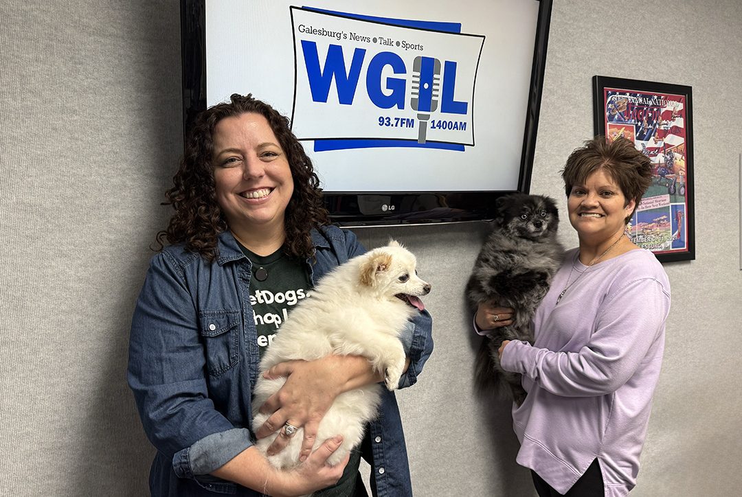 From left: Candace D'Agnolo Owner of Dante & Dory’s: A Pet Destination (holding Dory), and Stephanie Hall, Pet Center Director (holding Dante). The new pet store will be located at at 354 E. Main St. in Galesburg.