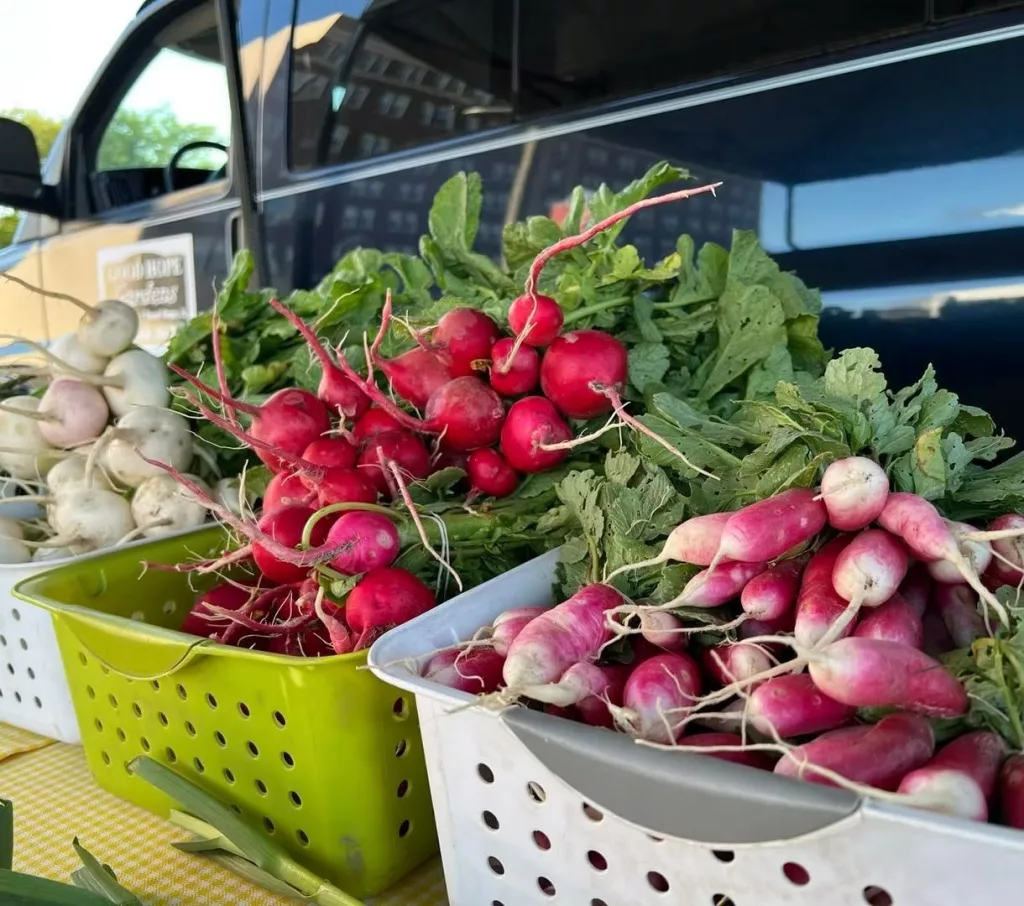 Galesburg Farmers Market
