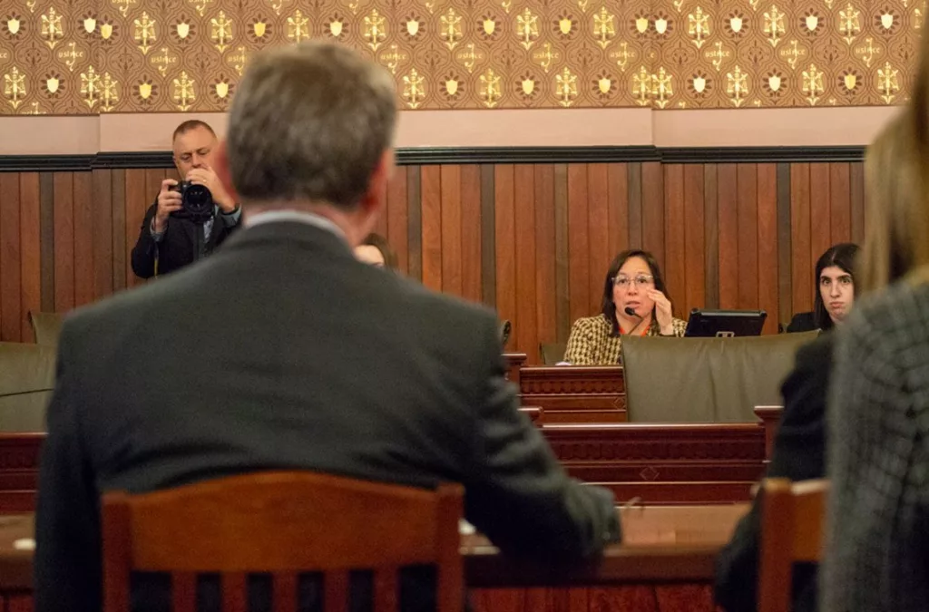 State Sen. Cristina Castro is pictured in a Senate Executive Committee hearing last year in Springfield. (Capitol News Illinois photo by Jerry Nowicki)