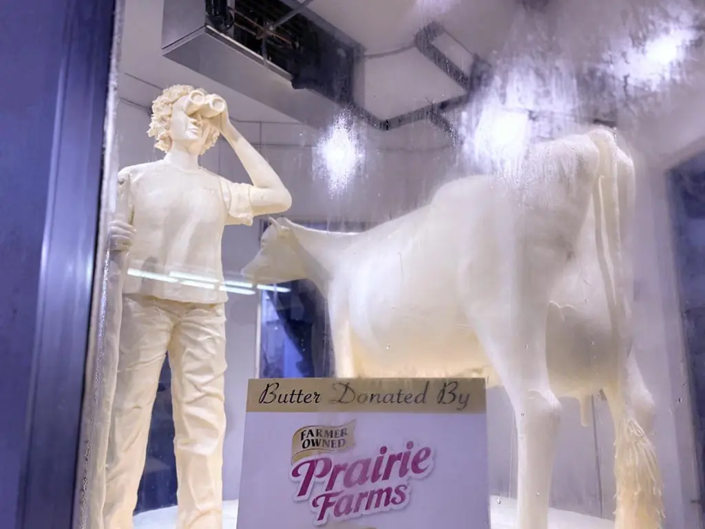 The 2025 Illinois State Fair butter cow is pictured in the Dairy Building on the Illinois State Fairgrounds. The 2025 fair theme is “Adventure Awaits.” (Capitol News Illinois photo by Jerry Nowicki)