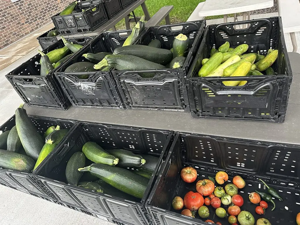 OSF Community Garden