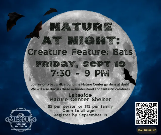nature-at-night-september-2025-bats-fb