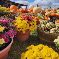 Galesburg\'s Morning News