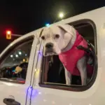 2025-holly-days-parade-200