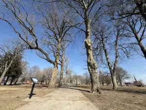 Pathway through Standish Park in Galesburg with trimmed and bare trees after maintenance, February 10, 2026.