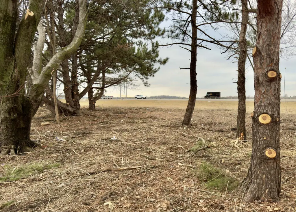 Remaining trees along the US-34 and US-150 corridor in Galesburg, Illinois, following IDOT invasive tree removal.