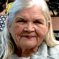 Memorial image for Linda Wolfe obituary – Galesburg, IL (1949–2026)