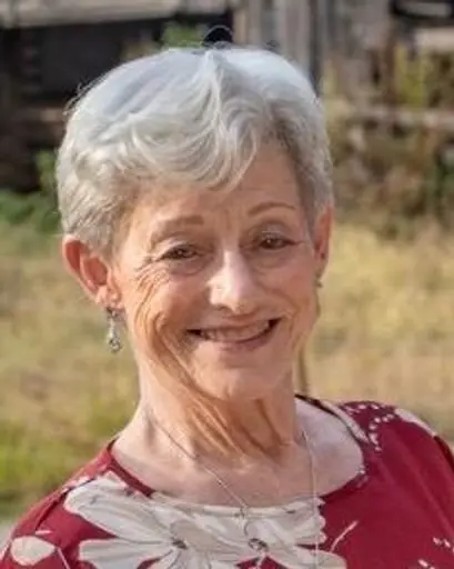 Memorial image for Kathy Ann Thomas obituary – Sikeston, MO (1942–2026)