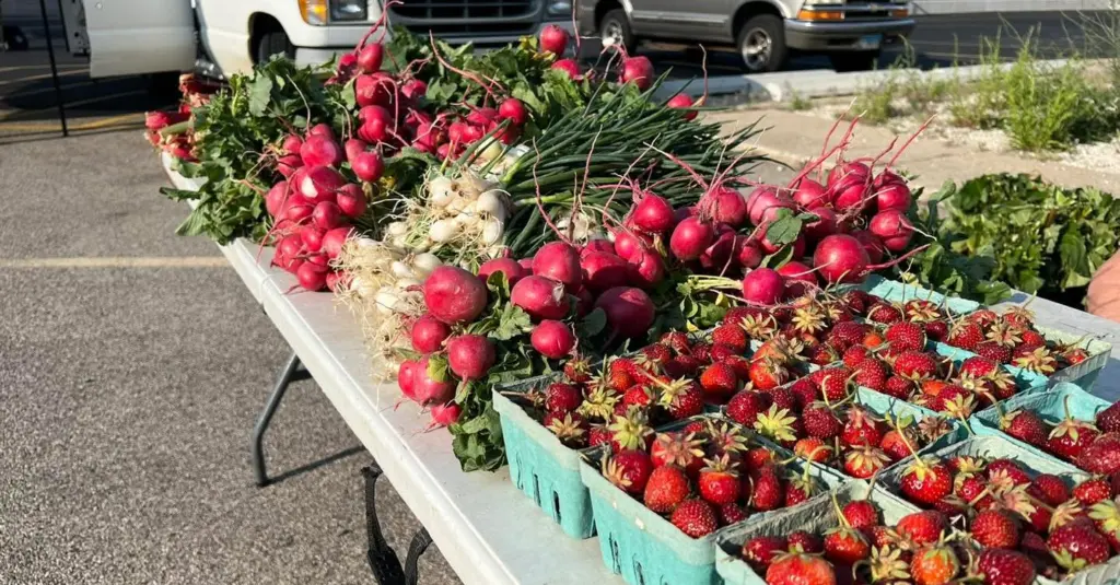 Galesburg Farmers Market vendor booths at 362 E. Simmons Street in downtown Galesburg, Illinois
