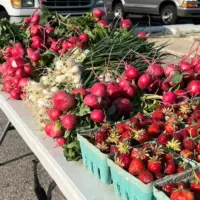 Galesburg Farmers Market vendor booths at 362 E. Simmons Street in downtown Galesburg, Illinois
