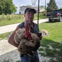 Memorial image for James "Jim" W. Neal obituary – Abingdon, Illinois (1955–2026)
