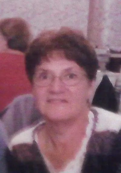 Memorial image for Betti A. Lemmer obituary – Galesburg, Illinois (1950–2026)